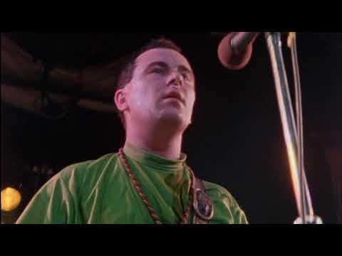 Miniatura del vídeo de BEACH RIOT FEST 3