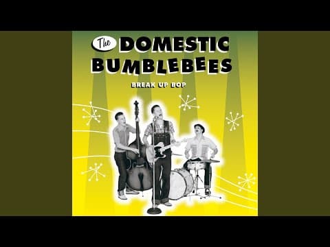 Miniatura del vídeo de THE DOMESTIC BUMBLEBEES feat BOPPIN' STEVE