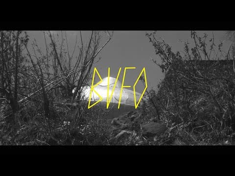 Miniatura del vídeo de SONIDO GALLO NEGRO