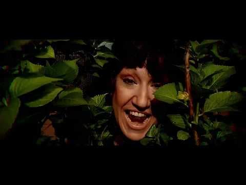 Miniatura del vídeo de STEADY ROCKERS