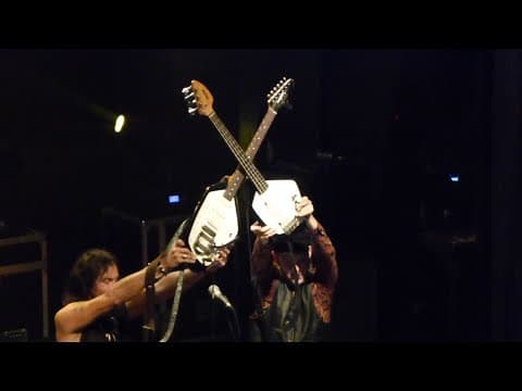 Miniatura del vídeo de THE FUZZTONES