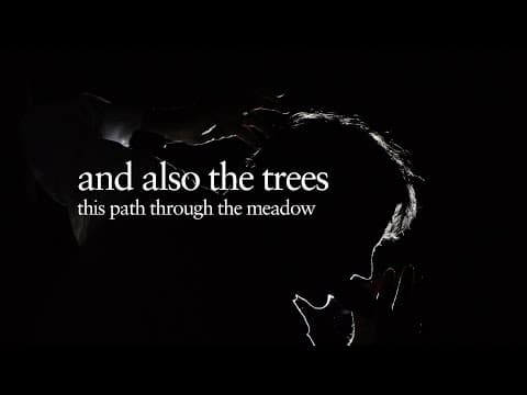 Miniatura del vídeo de AND ALSO THE TREES