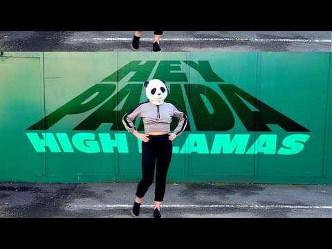 Miniatura del vídeo de THE HIGH LLAMAS