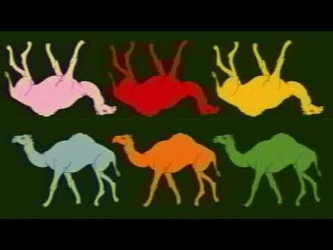 Miniatura del vídeo de SUNDAY, JUNE