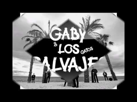 Miniatura del vídeo de GABY & LOS Gatos SALVAJES
