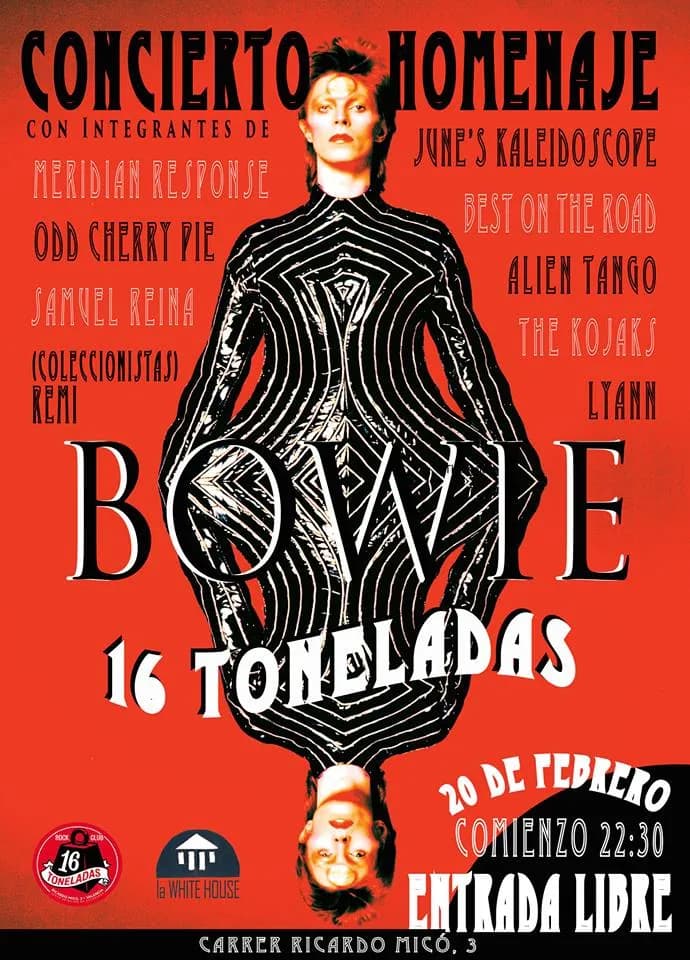 CONCIERTO HOMENAJE DAVID BOWIE