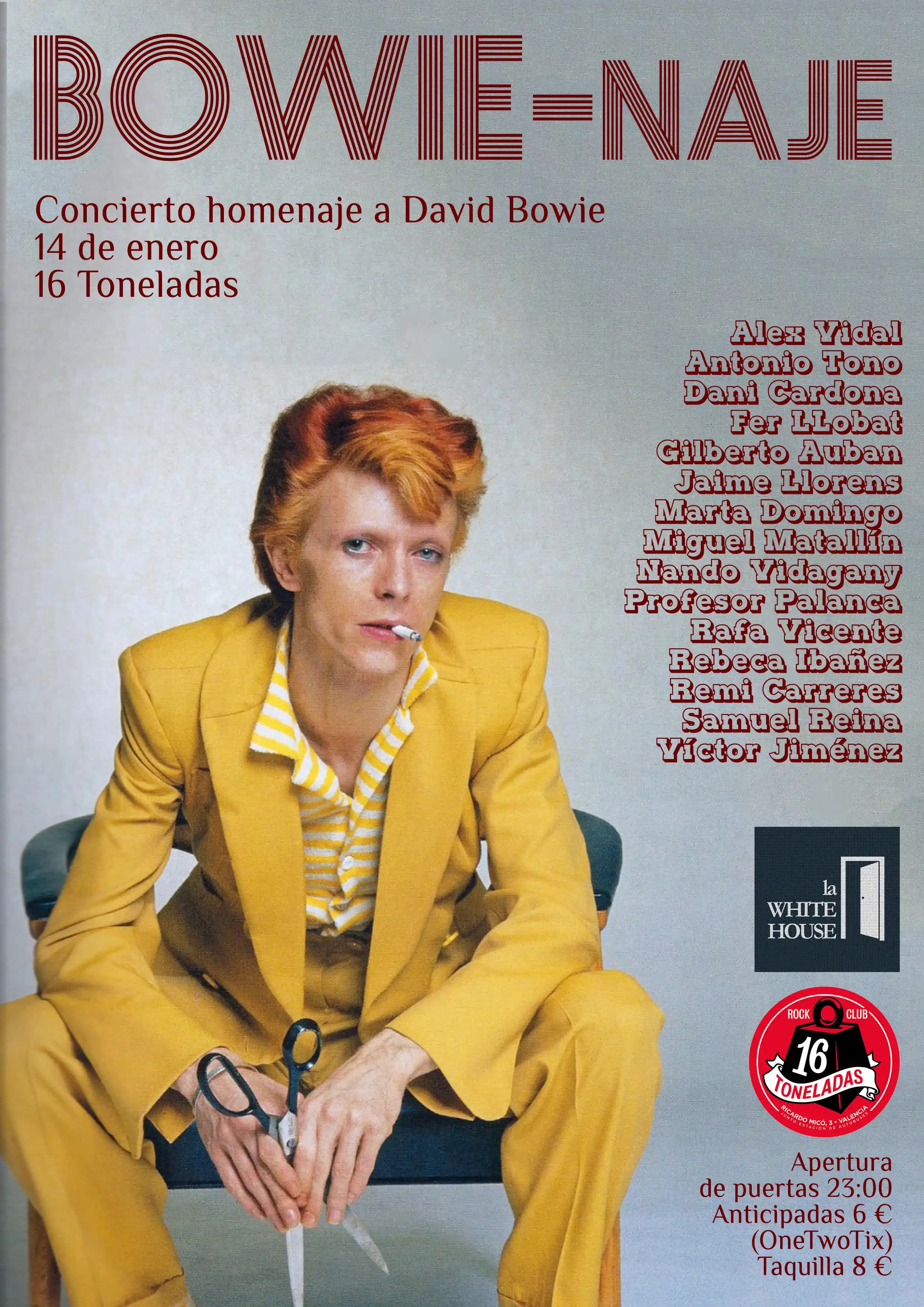 BOWIE-naje (Homenaje a David Bowie)